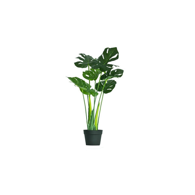 This is a product image of Artificial Monstera Plant 60cm. It can be used as an Home Accessories.