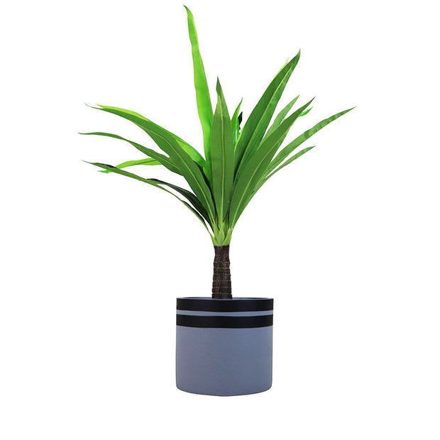This is a product image of Aster Big Flowerpot (Dia 40cm). It can be used as an Home Accessories.