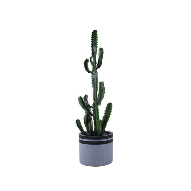 This is a product image of Aster Small Flowerpot (Dia 32cm). It can be used as an Home Accessories.