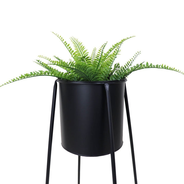This is a product image of Eden Free Standing Planter - Black Pot. It can be used as an Home Accessories.