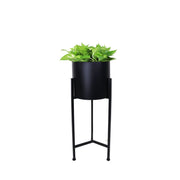 This is a product image of Fern Free Standing Planter - Black Pot. It can be used as an Home Accessories.