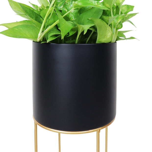 This is a product image of Flora Free Standing Planter - Black Pot. It can be used as an Home Accessories.