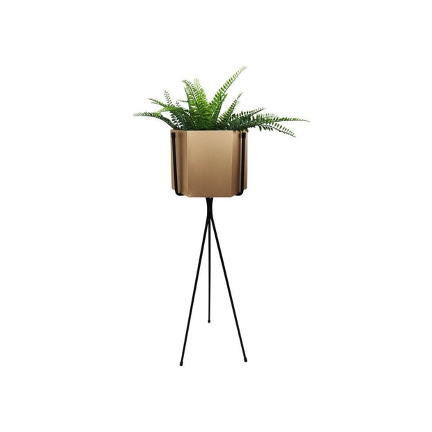 This is a product image of Radiant Brass Free Standing Planter. It can be used as an Home Accessories.