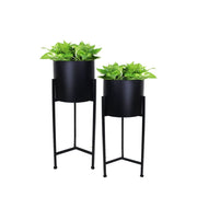 This is a product image of Set of 2 Fern Free Standing Planter - Black Pot. It can be used as an Home Accessories.