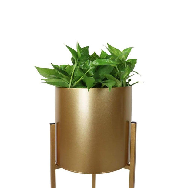 This is a product image of Set of 2 Iris Free Standing Planter - Golden Pot. It can be used as an Home Accessories.